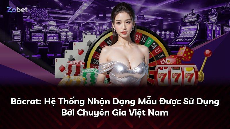 Bâcrat: Hệ Thống Nhận Dạng Mẫu Được Sử Dụng Bởi Chuyên Gia Việt Nam