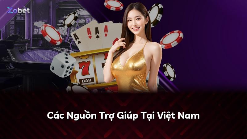 Các Nguồn Trợ Giúp Tại Việt Nam