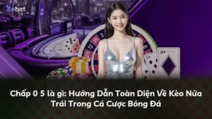 Chấp 0 5 là gì: Hướng Dẫn Toàn Diện Về Kèo Nửa Trái Trong Cá Cược Bóng Đá