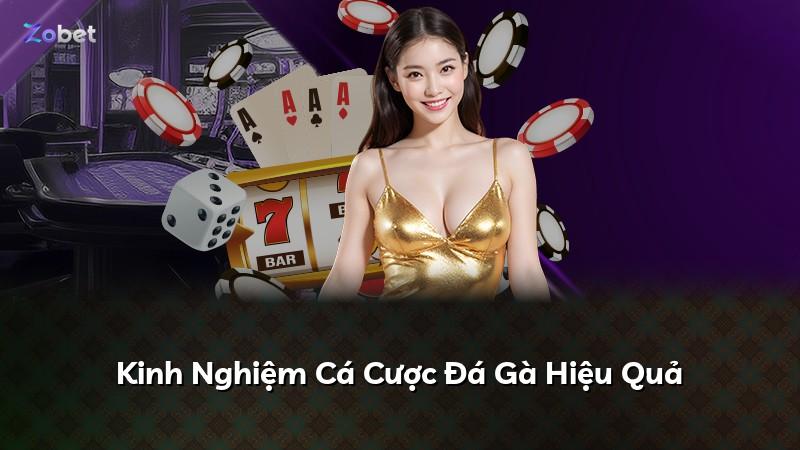 Kinh Nghiệm Cá Cược Đá Gà Hiệu Quả